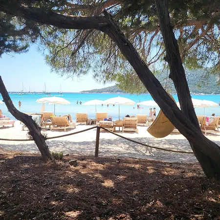 Apartmán De Standing Avec Piscine Et Terrasse Porto-Vecchio (Corsica)
