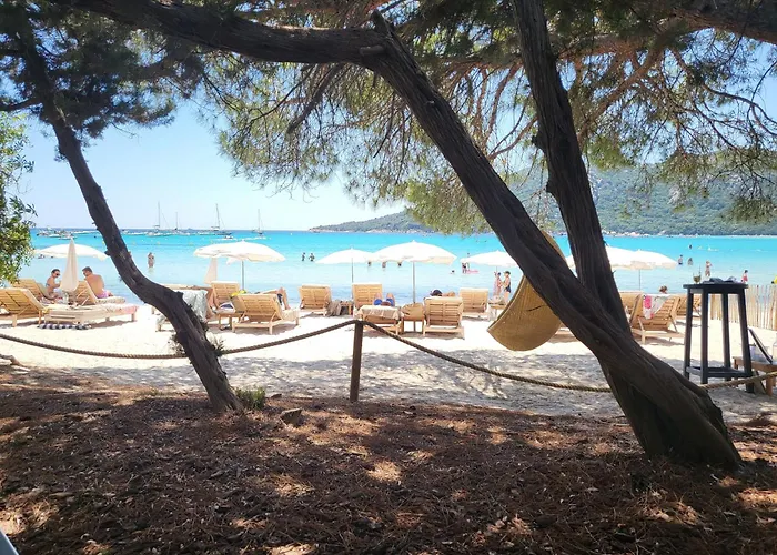 Lejlighed De Standing Avec Piscine Et Terrasse Porto-Vecchio (Corsica)